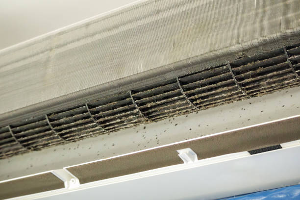 Best Dryer Vent Cleaning Services  in South Uniontown, PA